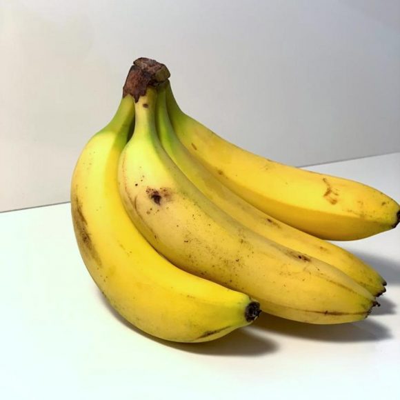 Die Banane ist die beliebteste Obstsorte der Welt. Gut 90 Prozent und fast alle in Europa verkauften Bananen gehören zur Sorte Cavendish. Diese Sorte ist jedoch akut von einer Pilzkrankheit bedroht: Fusarium, so heißt der Erreger der „Panamakrankheit“, schwärzt befallene Früchte von innen nach außen und macht sie ungenießbar. 

In seiner gegenwärtigen Form wurde der Erreger 1992 erstmals in Südostasien entdeckt. Seitdem breitet er sich weltweit aus. Inzwischen sind etwa Plantagen in China, Indonesien, Malaysia und den Philippinen betroffen. Kolumbien, für dessen Wirtschaft der Bananenexport sehr wichtig ist, rief 2019 wegen der Pilz-Infektionen den nationalen Notstand aus. Um den Befall zu stoppen, müsste der Boden behandelt werden. Das ist jedoch sehr umweltschädlich und deshalb fast überall verboten.