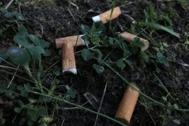 Zigarettenstummel im Gras