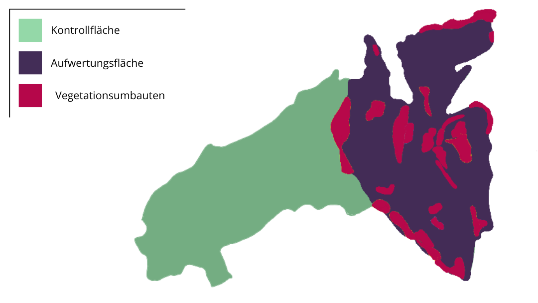 Der Golfplatz wurde von der Initiative GolfBiodivers in zwei Hälften aufgeteilt. Auf der einen greifen sie aktiv in die Biodiversität ein, auf der anderen nicht. 