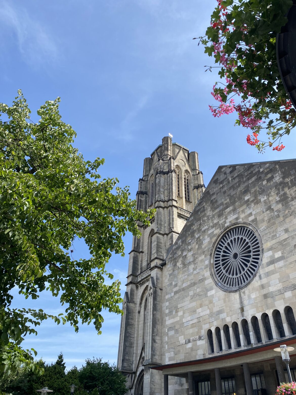 Die Sankt Gertrud Kirche von außen, zwischen zwei Bäumen. Der Himmel ist wolkenlos und blau.