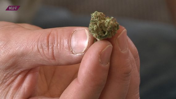 Cannabis ist seit dem 10. März 2017 ohne Ausnahmegenehmigung zu medizinischen Zwecken erlaubt. Etwa zwei Drittel aller Anträge auf Kostenerstattung wurden von den Krankenkassen bewilligt.