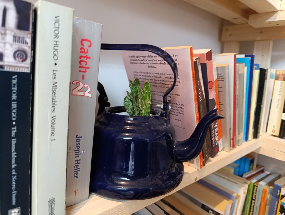 In einer alten dunkelblauen Emaille-Teekanne wächst ein Kaktus. Die Kanne steht im Regal zwischen Büchern.