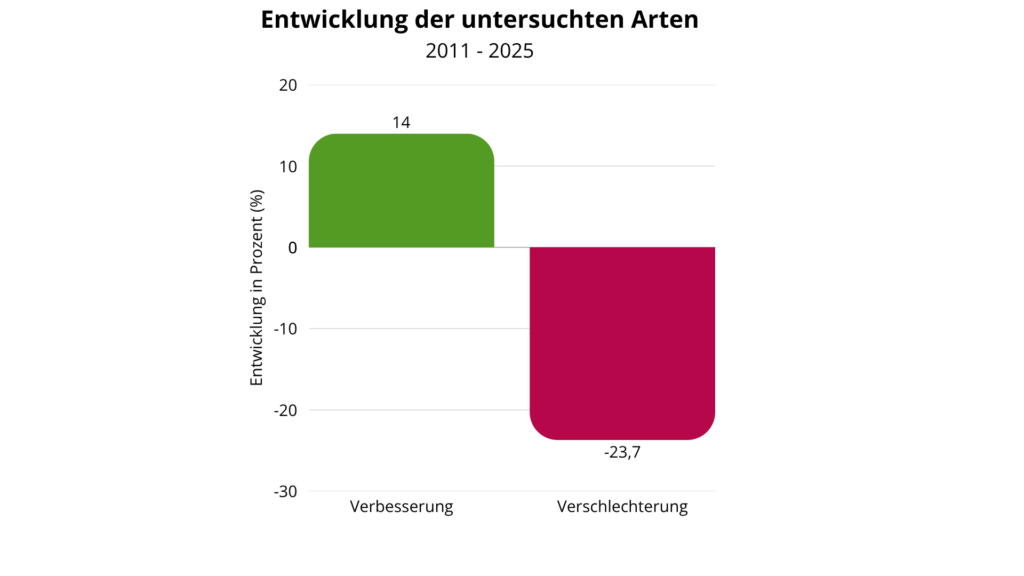 Die Grafik zeigt die Entwicklung der Population der Tagfalter und Widderchen im Vergleich von 2011 zu 2025. Es zeigt eine Verbesserung von +14 Prozent bei gleichzeitiger Verschlechterung von -23,7 Prozent einzelner Arten.